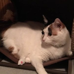 Meet your Posher, Lynn